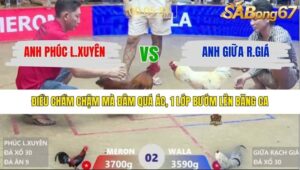 TRẬN 2 XÀ XÍA 30/1/2026