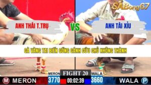 TRẬN 20 CPC3 25/1/2026