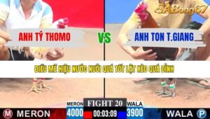 TRẬN 20 CPC3 8/1/2026