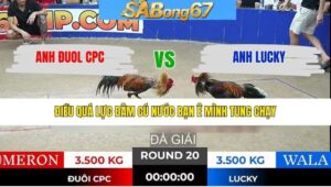 TRẬN 20 TONHON 28/1/2026