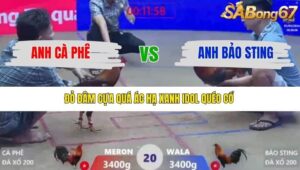 TRẬN 20 XÀ XÍA 1/1/2026