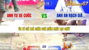 TRẬN 20 XÀ XÍA 9/1/2026