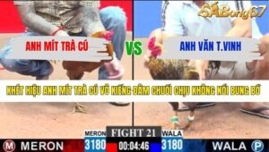 TRẬN 21 CPC3 29/1/2026