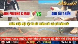 TRẬN 21 CPC5 24/1/2026