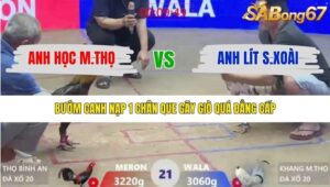 TRẬN 21 XÀ XÍA 19/1/2026