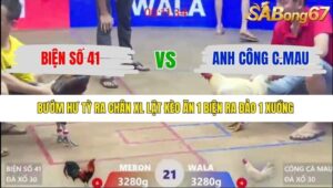 TRẬN 21 XÀ XÍA 24/1/2026