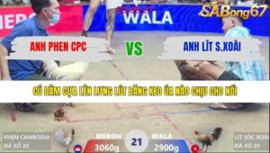 TRẬN 21 XÀ XÍA 30/1/2026