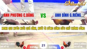 TRẬN 21 XÀ XÍA 9/1/2026