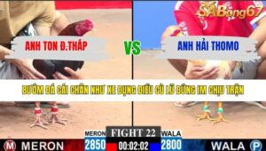 TRẬN 22 CPC3 27/1/2026