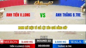 TRẬN 22 TONHON 5/1/2026