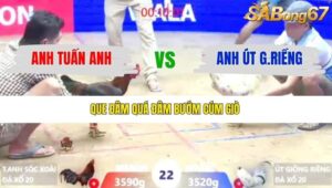 TRẬN 22 XÀ XÍA 9/1/2026