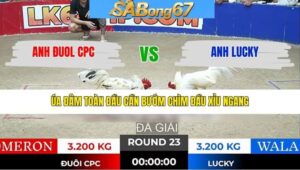 TRẬN 23 TONHON 28/1/2026