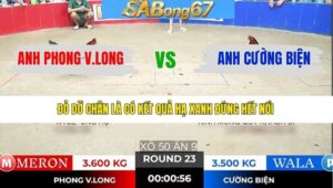 TRẬN 23 TONHON 7/1/2026