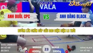 TRẬN 23 XÀ XÍA 1/1/2026