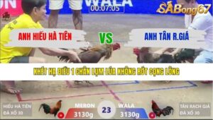 TRẬN 23 XÀ XÍA 27/1/2026