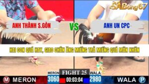 TRẬN 25 CPC3 25/1/2026