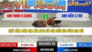 TRẬN 25 TONHON 28/1/2026