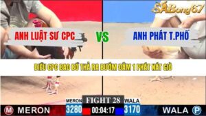 TRẬN 28 CPC3 18/1/2026