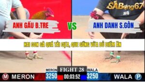 TRẬN 28 CPC3 23/1/2026