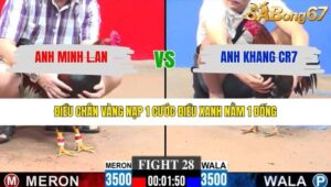 TRẬN 28 CPC3 29/1/2026