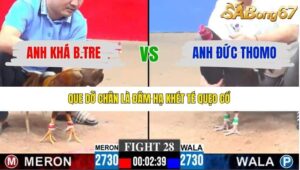 TRẬN 28 CPC3 8/1/2026