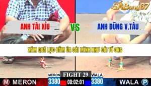 TRẬN 29 CPC3 11/1/2026