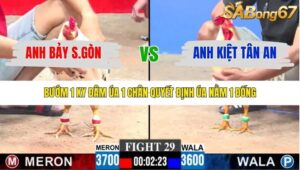 TRẬN 29 CPC3 23/1/2026