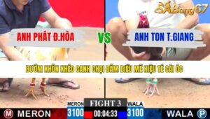 TRẬN 3 CPC3 18/1/2026