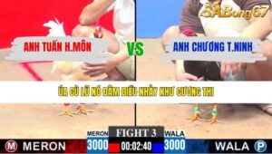 TRẬN 3 CPC3 29/1/2026