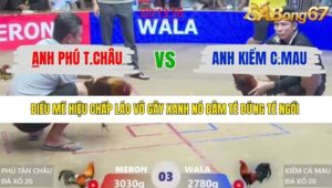 TRẬN 3 XÀ XÍA 12/1/2026