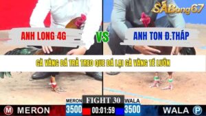 TRẬN 30 CPC3 23/1/2026