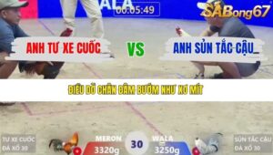 TRẬN 30 XÀ XÍA 10/1/2026