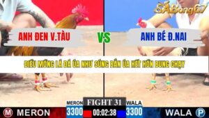 TRẬN 31 CPC3 23/1/2026