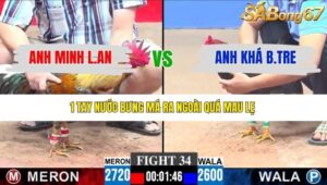 TRẬN 34 CPC3 8/1/2026