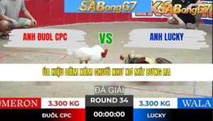 TRẬN 34 TONHON 28/1/2026