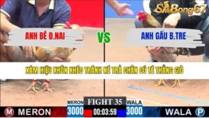 TRẬN 35 CPC3 29/1/2026