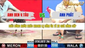 TRẬN 36 CPC3 23/1/2026