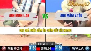 TRẬN 37 CPC3 27/1/2026