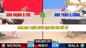 TRẬN 37 CPC3 8/1/2026