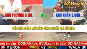 TRẬN 4 CPC5 19/1/2026