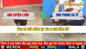 TRẬN 4 CPC5 28/1/2026