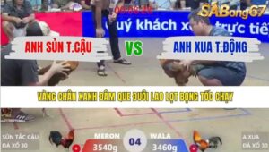 TRẬN 4 XÀ XÍA 20/1/2026