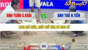 TRẬN 4 XÀ XÍA 21/1/2026