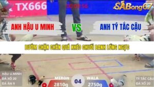 TRẬN 4 XÀ XÍA 24/1/2026