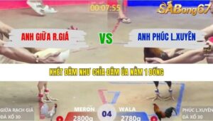 TRẬN 4 XÀ XÍA 26/1/2026