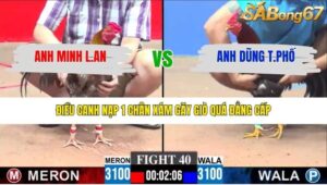 TRẬN 40 CPC3 29/1/2026