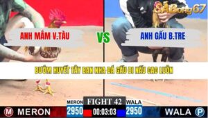 TRẬN 42 CPC3 29/1/2026