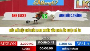 TRẬN 43 TONHON 28/1/2026