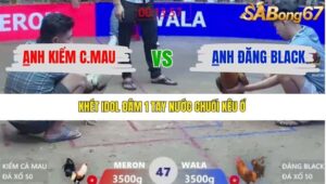 TRẬN 47 XÀ XÍA 1/1/2026