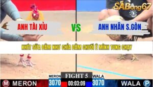 TRẬN 5 CPC3 23/1/2026